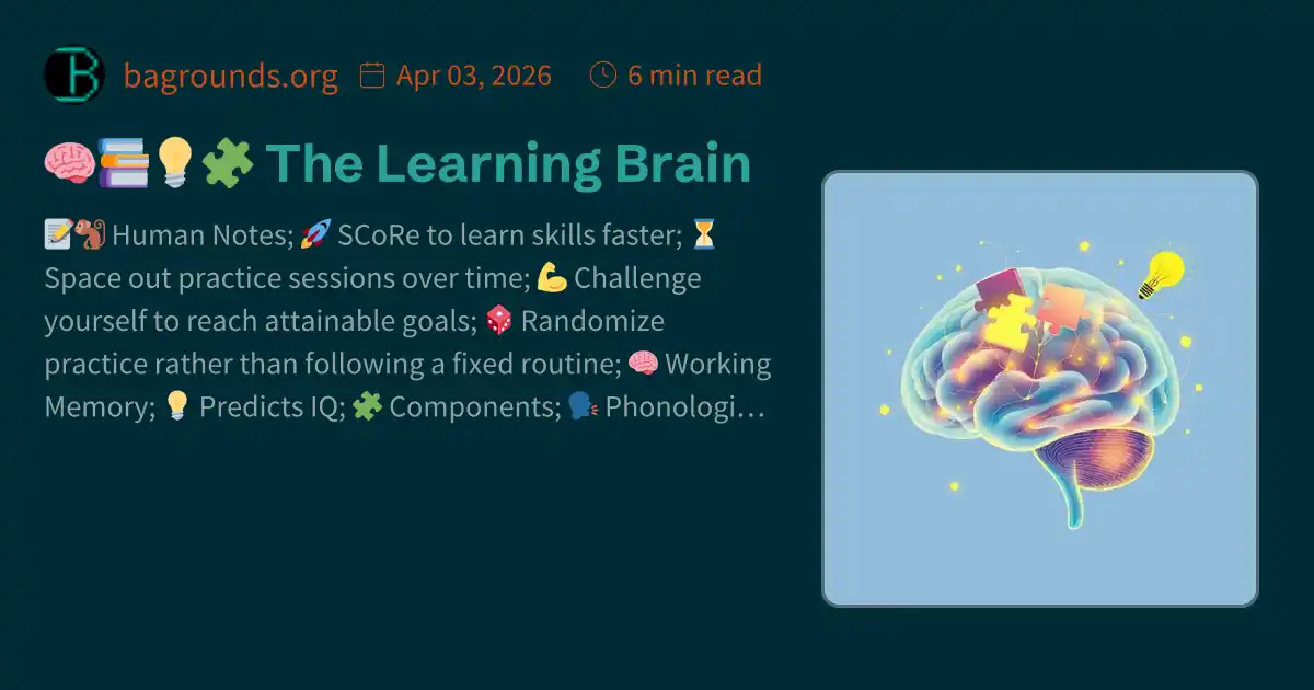 Larning Brain 🧠📚💡🧩 The Learning Brain