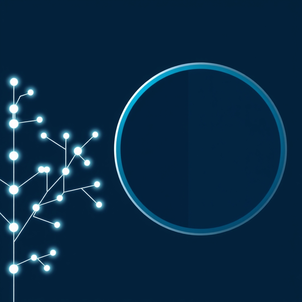 reflections-2024-06-24